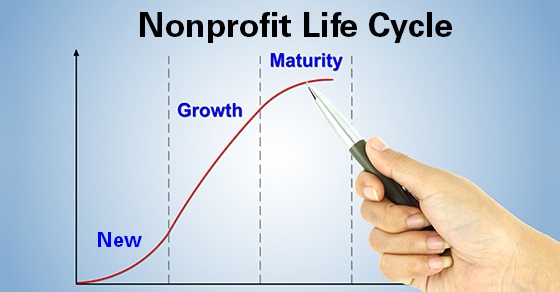 pen pointer product life cycle chart